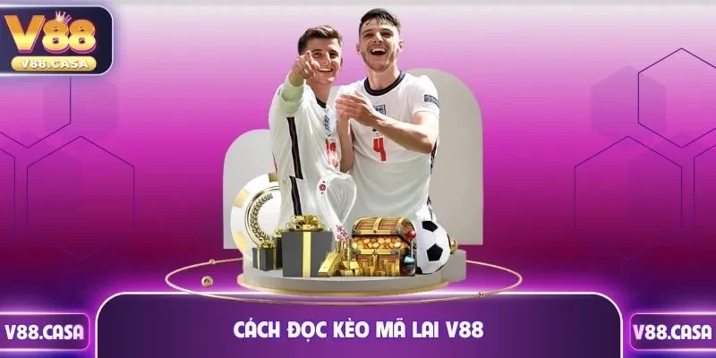 Cách đọc kèo mã lai v88